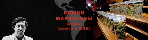 сатива Снежинск