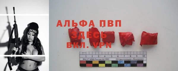 сатива Снежинск