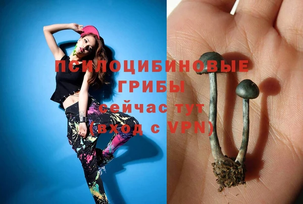 каннабис Снежногорск