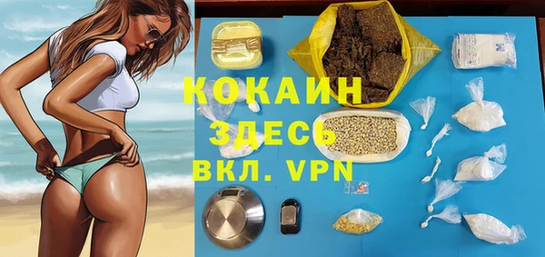 сатива Снежинск
