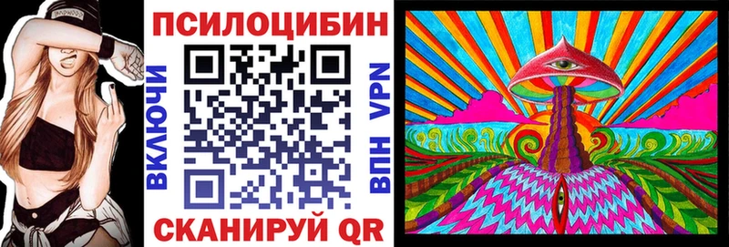 Псилоцибиновые грибы Psilocybine cubensis  Купить  Кувандык 